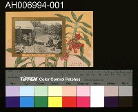 藏品(始政第十七回紀念明信片)的圖片